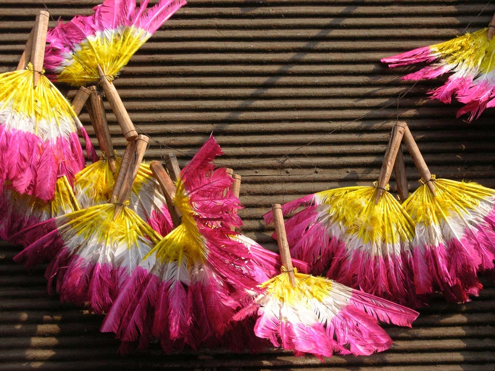 Feather dusters 