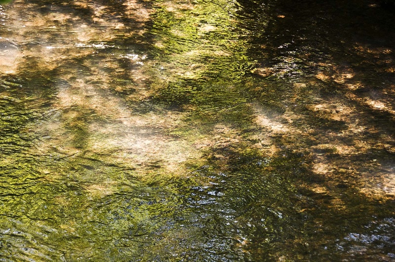 En el Macizo de la Chartreuse 