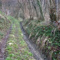 En el Macizo de la Chartreuse 