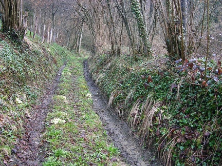 En el Macizo de la Chartreuse 