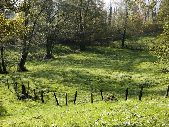 Landscape in the Chartreuse Mountains 