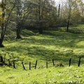 Landscape in the Chartreuse Mountains 