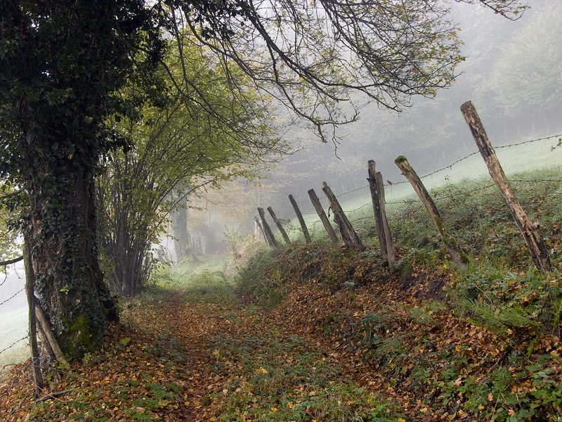 Paysage de Chartreuse