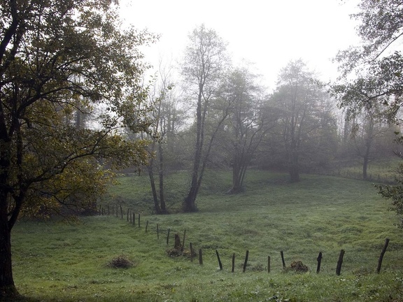 Landscape in the Chartreuse Mountains 