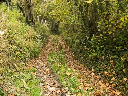 Paysage de Chartreuse