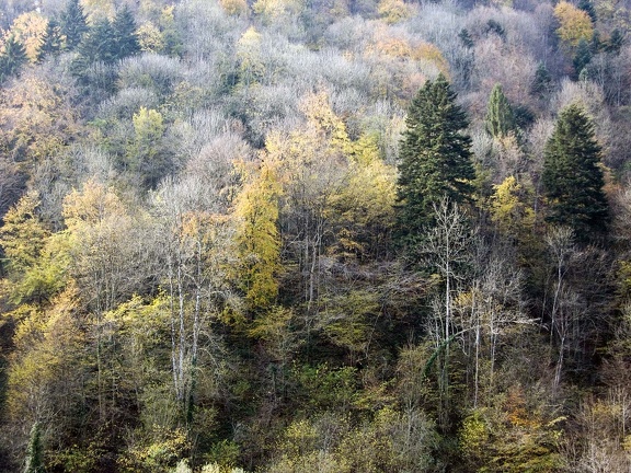 Landscape in the Chartreuse Mountains 