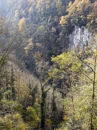 Landscape in the Chartreuse Mountains 