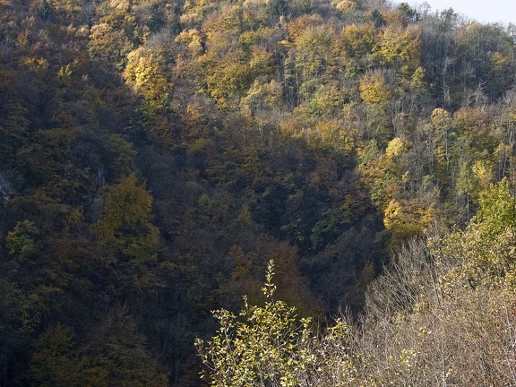 Landscape in the Chartreuse Mountains 