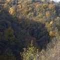 Landscape in the Chartreuse Mountains 