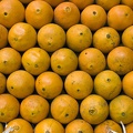 Oranges