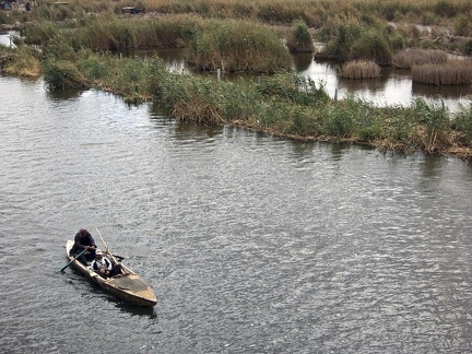 Lago Mariout. Alejandría 