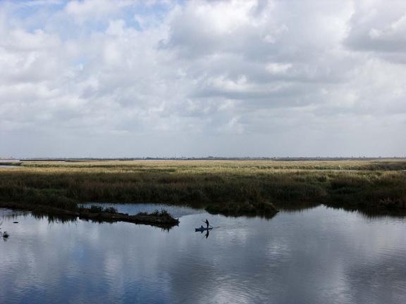 Lago Mariout. Alejandría 