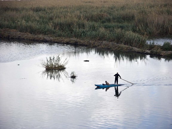 Lago Mariout. Alejandría 