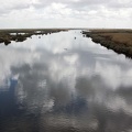 Lago Mariout. Alejandría 