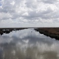 Lago Mariout. Alejandría 