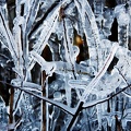  Stalactite de glace