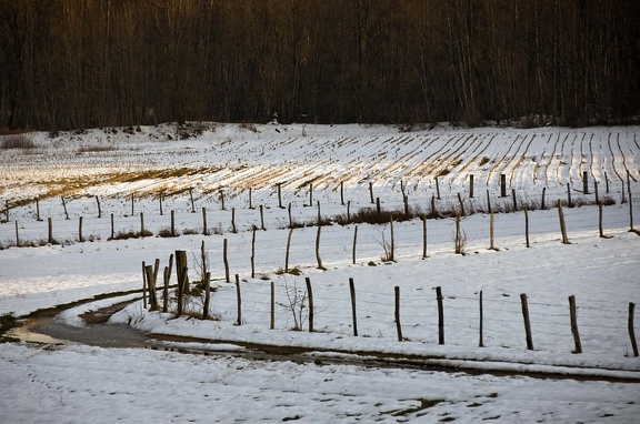 Invierno