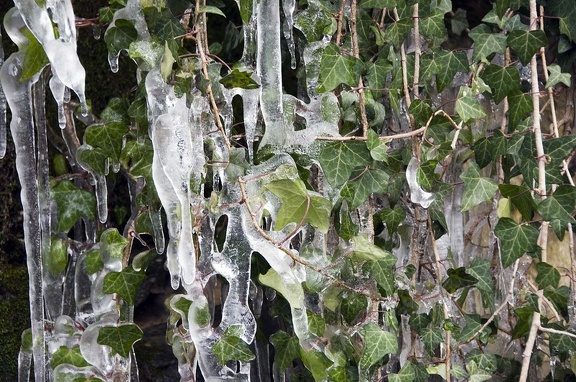 Escultura de hielo