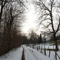 201001D0193.jpg