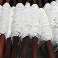 Wool dyers workshop. Cairo  