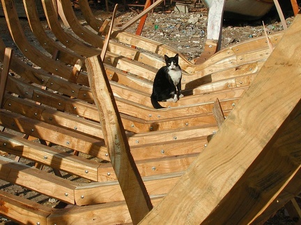 Chantier naval à Alexandrie