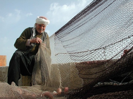 Fisherman, 2004 