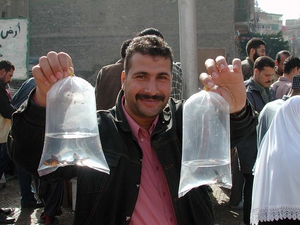 Bird market. Alexandria  2004 