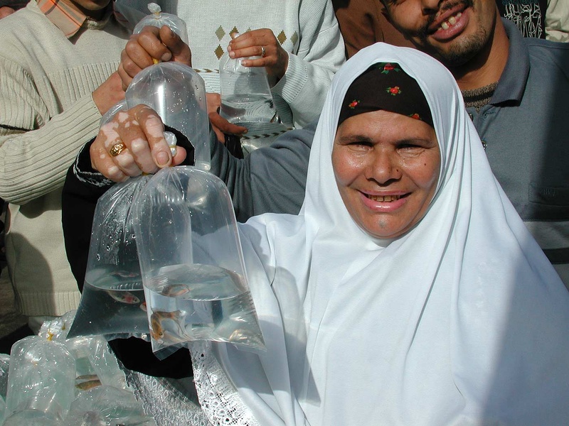 Bird market. Alexandria  2004 