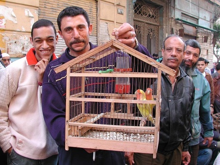 Marché aux oiseaux. Alexandrie 2004 