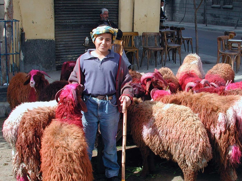  Marché aux moutons. Alexandrie 2004  