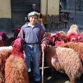  Marché aux moutons. Alexandrie 2004  