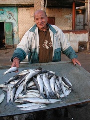 La criée aux poissons, Alexandrie. 2004  