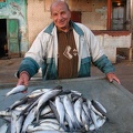  La criée aux poissons, Alexandrie. 2004  
