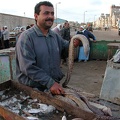 Bird market. Alexandria  2004 