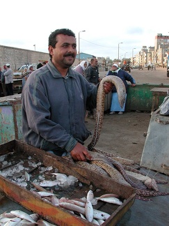 Bird market. Alexandria  2004 