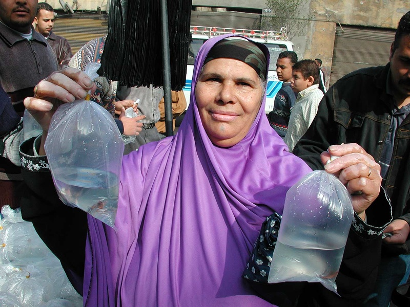 Bird market. Alexandria  2004 