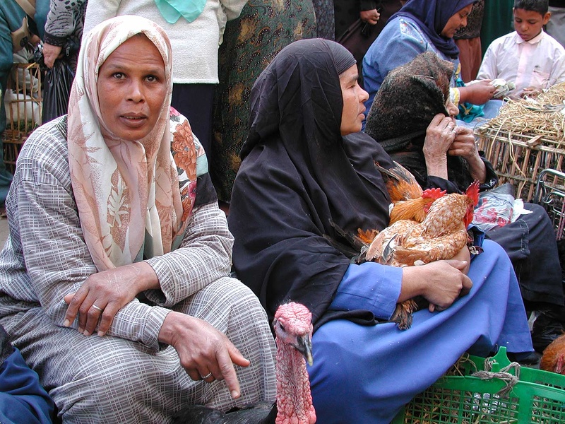 Bird market. Alexandria  2004 