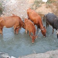 Canal d'irrigation