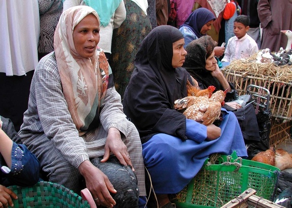 Bird market. Alexandria   