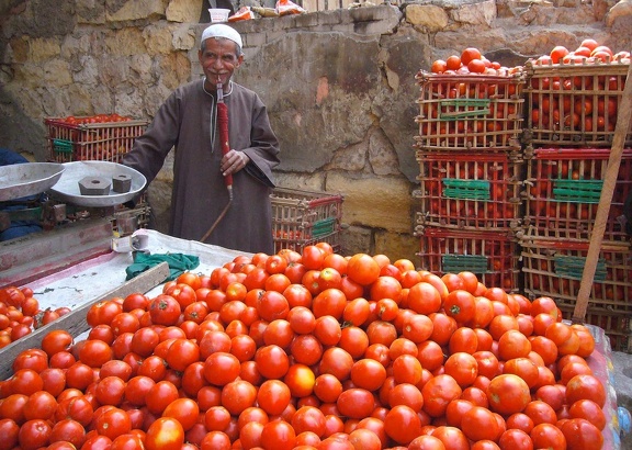 Marchand ambulant, Le Caire, 2007