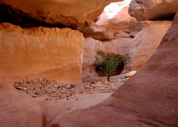 Canyon en fente (Slot canyon) 