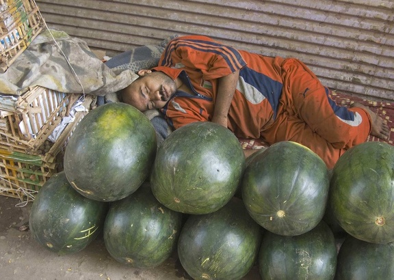 Merchant of watermelons 