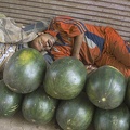 Merchant of watermelons 
