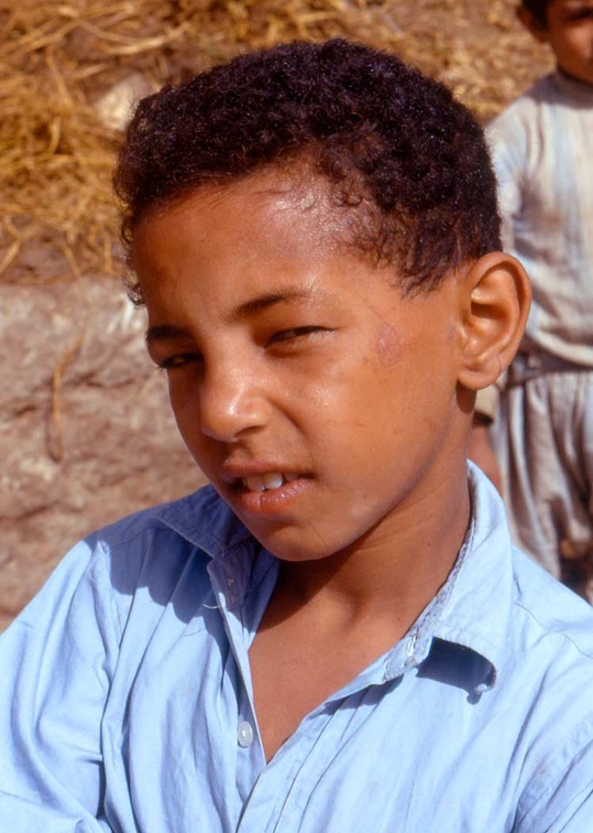 Camel market. Embaba, 1972  