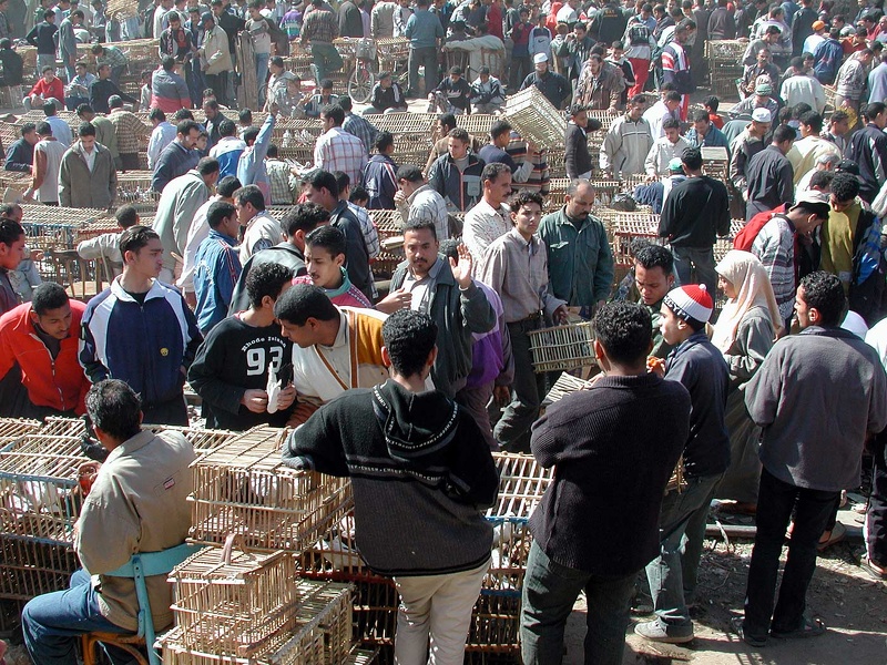 Marché aux puces