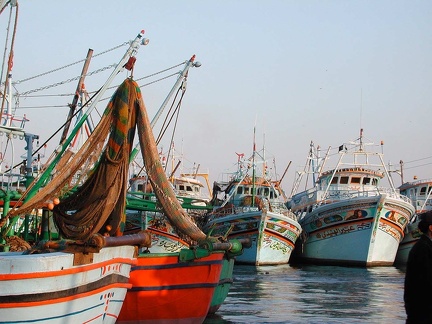 Fishing port 