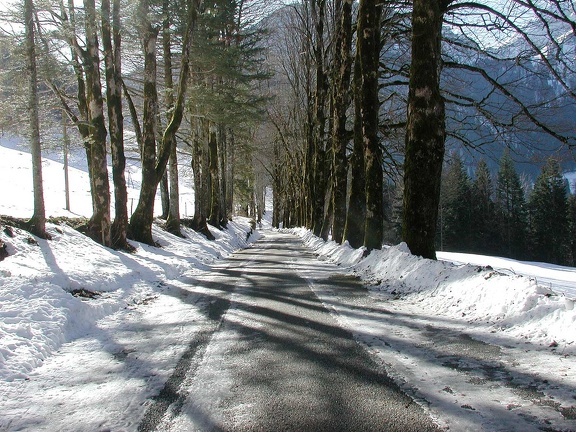 Près du Monastère de la Grande Chartreuse