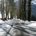 Near the Grande Chartreuse 