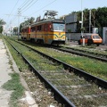 Tramway of Alexandria  