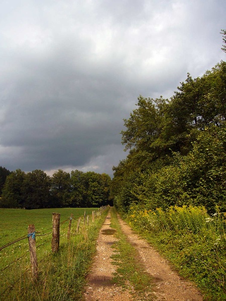 Chemin de campagne